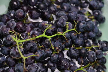 Close-up of Ripe Black Grapes 