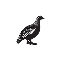 Majestic Pheasant Silhouette Vector Art – Long-Tailed Game Bird in Bold Black Outline, Perfect for Hunting Themes, Rustic Wildlife Decor, Nature Illustrations, and Countryside Logos
