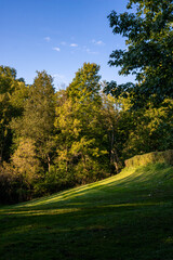 beginning of autumn landscape at the park