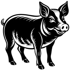 Pig standing clean vector



