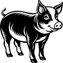 Pig standing clean vector



