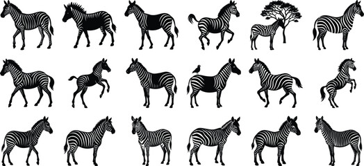 Big Zebra Silhouette Vector Bundle, on white background.
