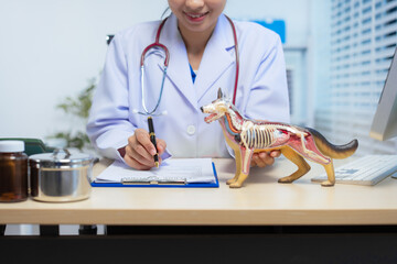 A confident Asian female veterinarian sits at her desk, providing online consultations. She uses...