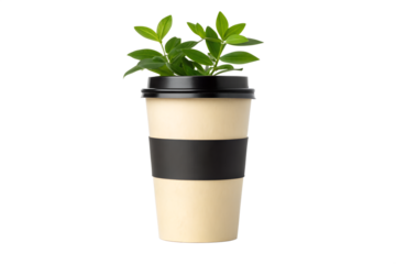 Sustainable Coffee Eco-Friendly Takeaway Cup with Greenery