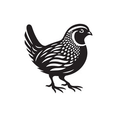 Elegant Quail Vector Silhouette Design – Bold Wildlife Icon Featuring Upright Pose and Distinct Feather Plume, Perfect for Countryside Artwork, Farm Logos, and Woodland Illustration Styles

