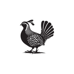Elegant Quail Vector Silhouette Design – Bold Wildlife Icon Featuring Upright Pose and Distinct Feather Plume, Perfect for Countryside Artwork, Farm Logos, and Woodland Illustration Styles

