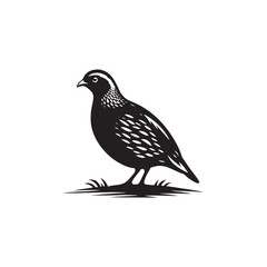 Elegant Quail Vector Silhouette Design – Bold Wildlife Icon Featuring Upright Pose and Distinct Feather Plume, Perfect for Countryside Artwork, Farm Logos, and Woodland Illustration Styles

