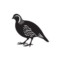 Elegant Quail Vector Silhouette Design – Bold Wildlife Icon Featuring Upright Pose and Distinct Feather Plume, Perfect for Countryside Artwork, Farm Logos, and Woodland Illustration Styles

