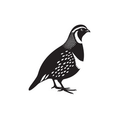 Graceful Quail Silhouette Vector Art – Small Game Bird with Curved Topknot and Rounded Body, Minimalist Black Outline for Rustic Decor, Hunting Themes, and Nature Graphics


