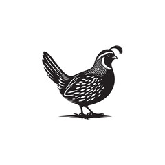 Graceful Quail Silhouette Vector Art – Small Game Bird with Curved Topknot and Rounded Body, Minimalist Black Outline for Rustic Decor, Hunting Themes, and Nature Graphics

