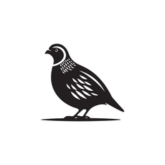 Graceful Quail Silhouette Vector Art – Small Game Bird with Curved Topknot and Rounded Body, Minimalist Black Outline for Rustic Decor, Hunting Themes, and Nature Graphics

