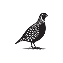 Obraz premium Graceful Quail Silhouette Vector Art – Small Game Bird with Curved Topknot and Rounded Body, Minimalist Black Outline for Rustic Decor, Hunting Themes, and Nature Graphics