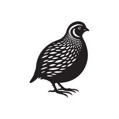 Graceful Quail Silhouette Vector Art – Small Game Bird with Curved Topknot and Rounded Body, Minimalist Black Outline for Rustic Decor, Hunting Themes, and Nature Graphics

