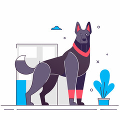 standing germen shepherd 