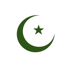 Minimalistic Pakistan Flag Logo Icon with Modern Styling