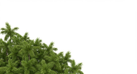 Tropical Palm Tree Border on White Background – Nature-Inspired Botanical Design