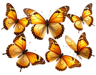 Obraz premium Set Golden Gradient Butterfly in Flight Pose, Side Angle, isolated on a transparent background png