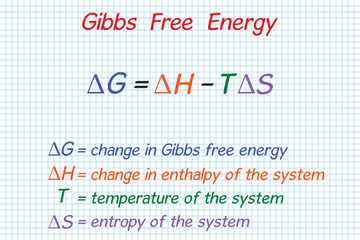 Gibbs Free Energy. School. Notebook. Cage. Homework.  Education. Science. Vector illustration.