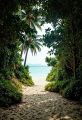 Sandy Path to Tropical Beach with Palm Trees and Turquoise Ocean View