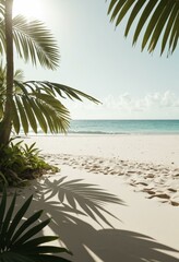 Low Angle View of Palm Framed Beach with Golden Sunlight and Turquoise Sea