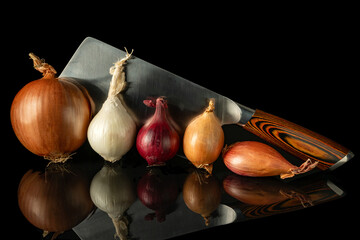 Fresh organic onions in different colors and sizes with sharp kitchen cleaver, ideal for healthy cooking and recipe concepts
