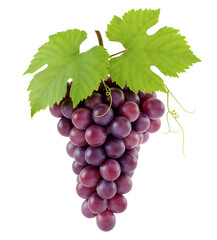 Fototapeta premium Purple grapes minimalist 3D rendering in a soft and smooth renderer