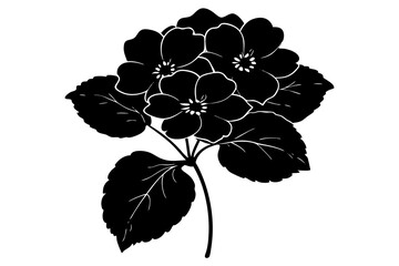 black and white flower