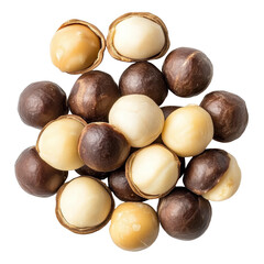 Obraz premium Macadamia nut seeds of various colors arranged on Transparent background for culinary and nutritional uses, Macadamia nut seeds isolated on PNG background