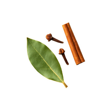 Dried bay leaf with clove and cinnamon on transparent background