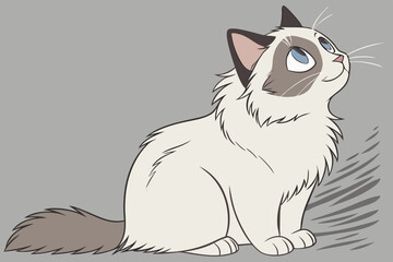  Adorable Cartoon Ragdoll Cat Looking Up