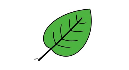 Single Green Leaf Illustration on White Background