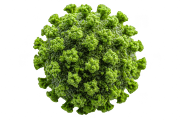 Virus Structure,  Microscopic View