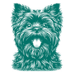 Naklejka premium Affenpinscher