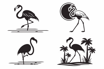set of flamingos