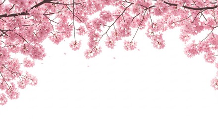 春の柔らかな光に満ちた桜の枝 繊細なピンクの花びら舞い降りる. AI Generated