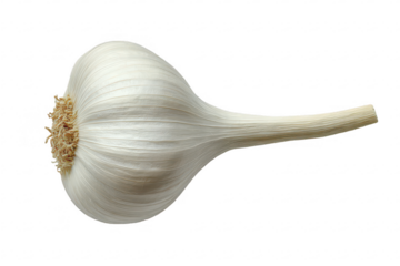 Garlic Bulb Close-Up (1)