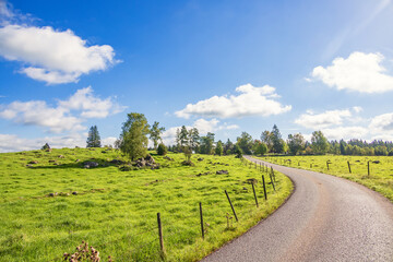 Country road by a grass meadow a sunny summer day