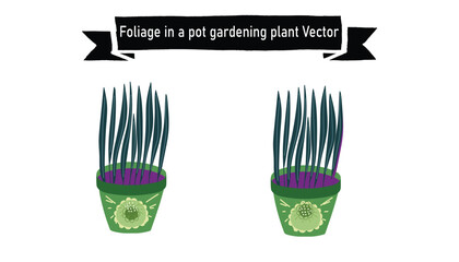 Foliage in a pot gardening vector