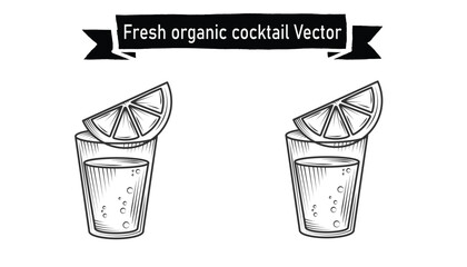 Fresh organic cocktail vector