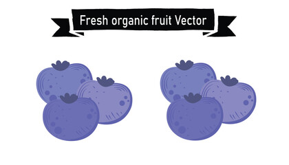 Fresh organic fruit vector