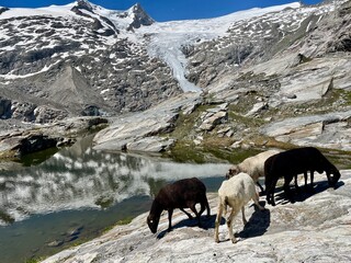 Wanderung Osttirol Schlatenkees 