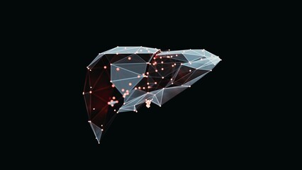 3d render of a vibrant, low-poly liver over dark background. Liver wireframe made of light points. 3d illustration