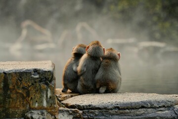 Togetherness