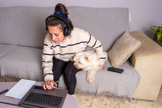 Female student wearing headphones studying online course, taking notes while loyal dog relaxing beside her on living room couch