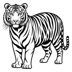 Fototapeta premium Black and White Graphic of a Standing Tiger illustration