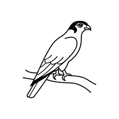 Fototapeta premium falcon perched on a branch line art
