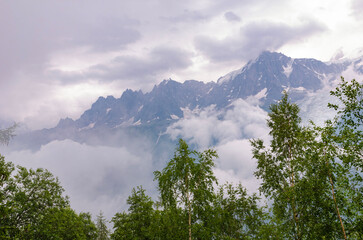 Mountain peaks covered in snow and clouds with green forest trees in foreground, dramatic sky
