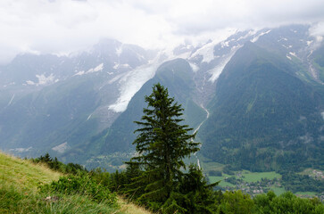 Mountain peaks covered in snow and clouds with green forest trees in foreground, dramatic sky