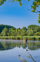 Belgium, Harchies - June 20, 2025 : Harchies marshes in Belgium - Peaceful wetland and natural landscape