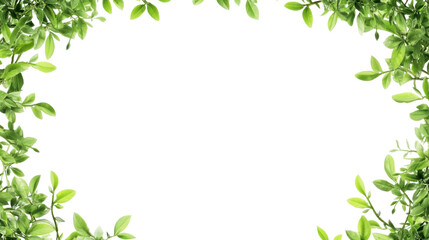Vibrant Green Leaf Border Frame Creating a Lush Botanical Background for Natural Designs
